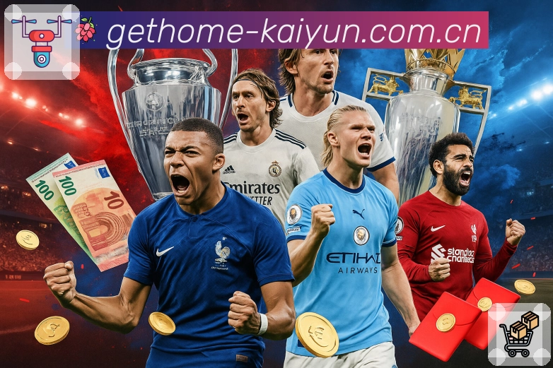 开云平台展示图